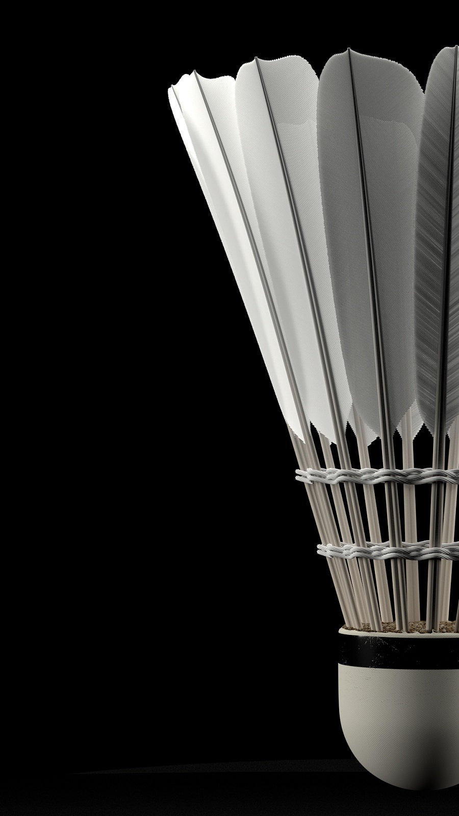 这是球迷们 这是球迷们